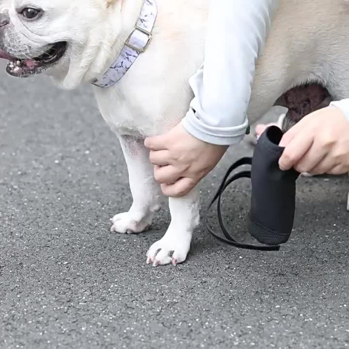 PawGuard Boots
