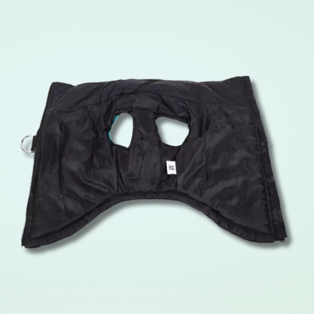 Veste imperméable pour chiens Scooby