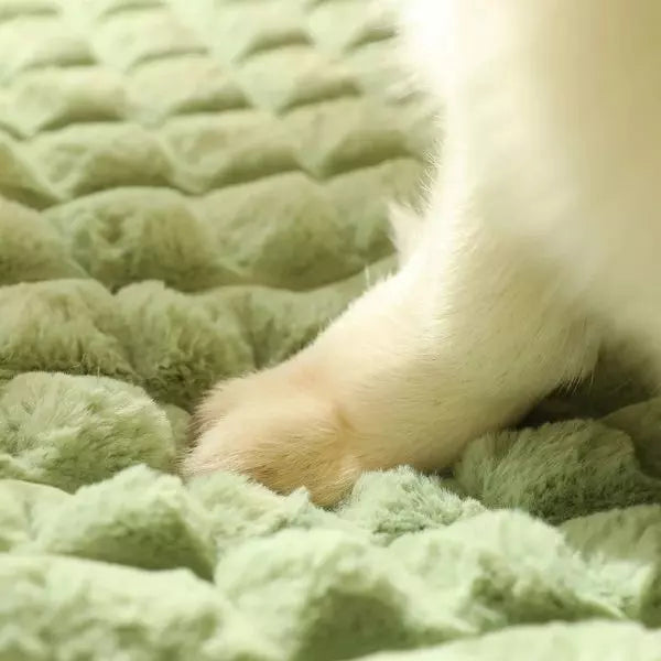 Orthopedic Bed for Dogs Nina soft