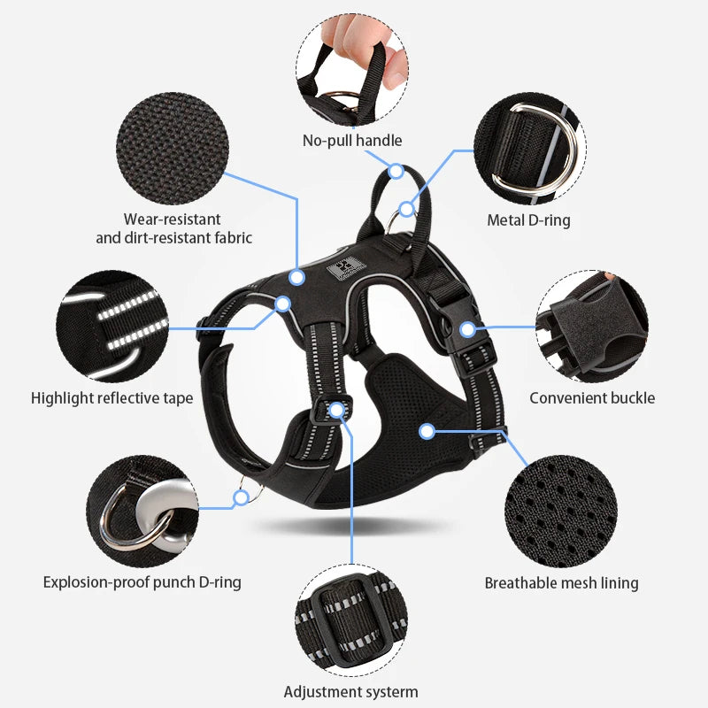 SafePaws Custom Harness
