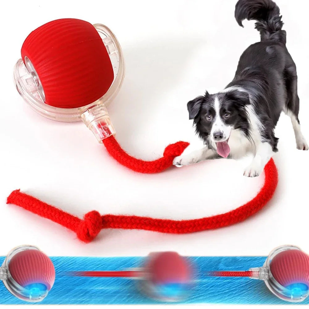 ZoomieBall