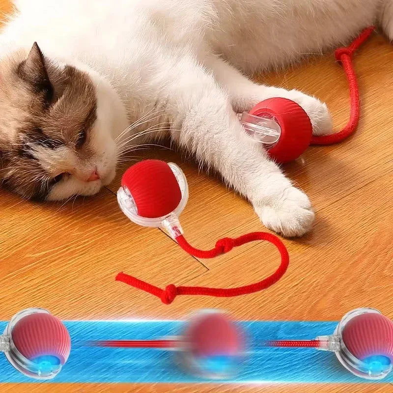 ZoomieBall