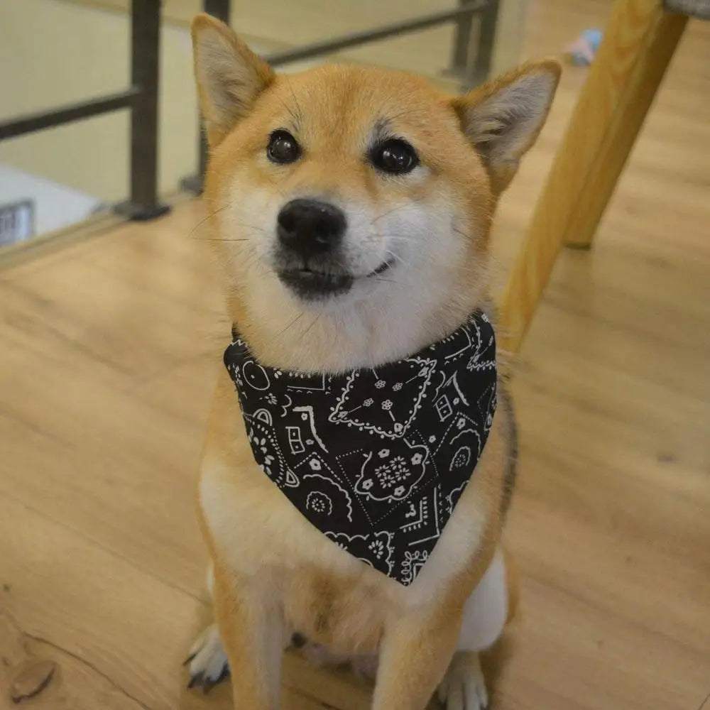 The Dapper Pet Bandana