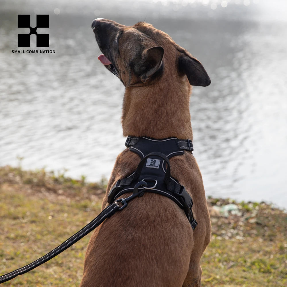 SafePaws Custom Harness