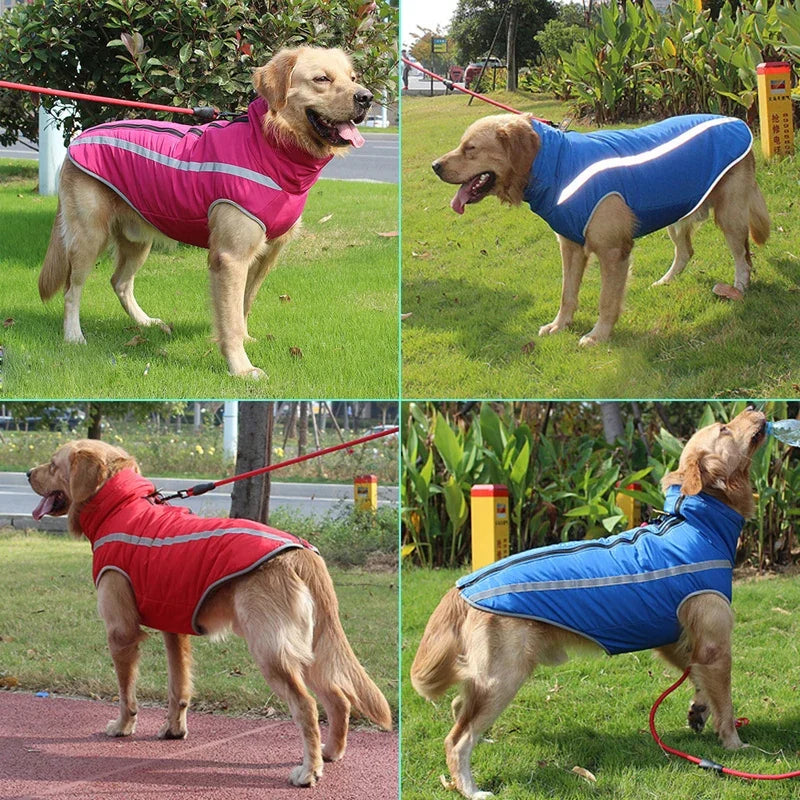 Waterproof Dog Coat Lupi
