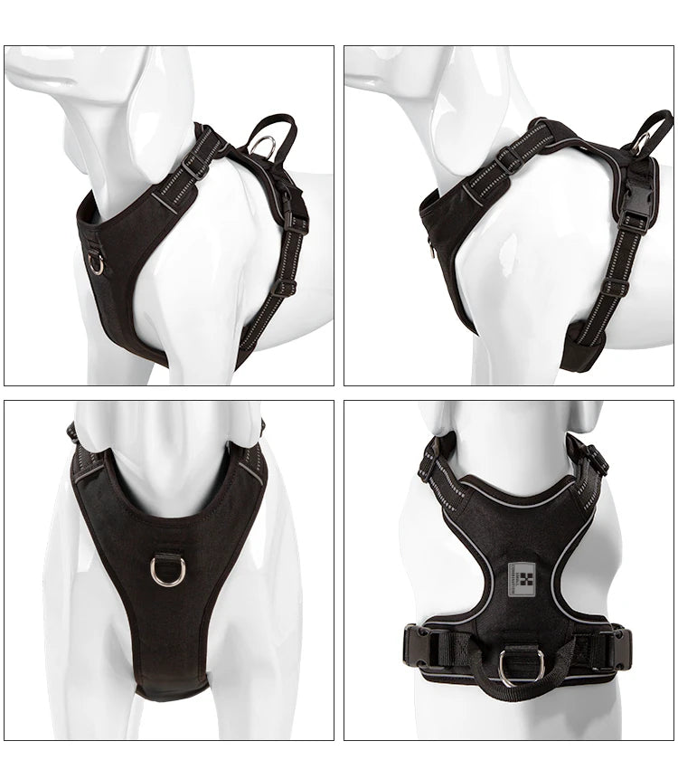 SafePaws Custom Harness