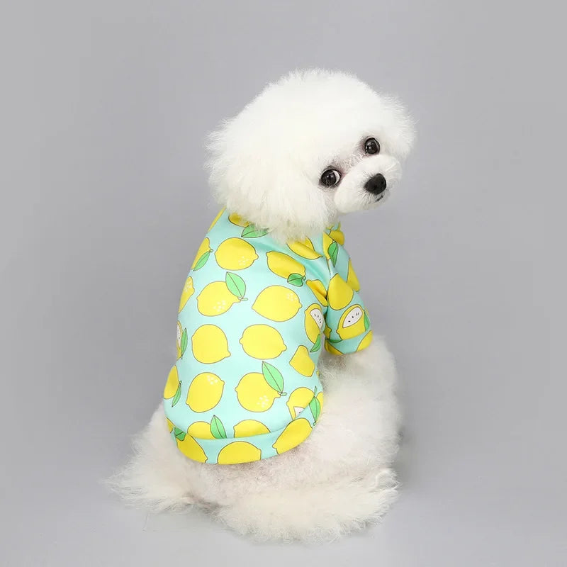 Dog Coats Venice Leoncio