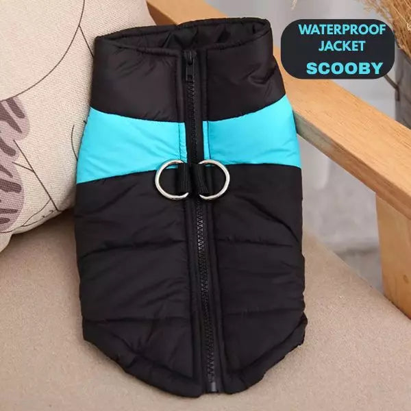 waterproof jacket dogs scooby blue