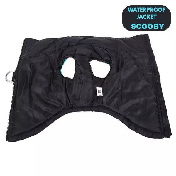 waterproof jacket dogs scooby blue2