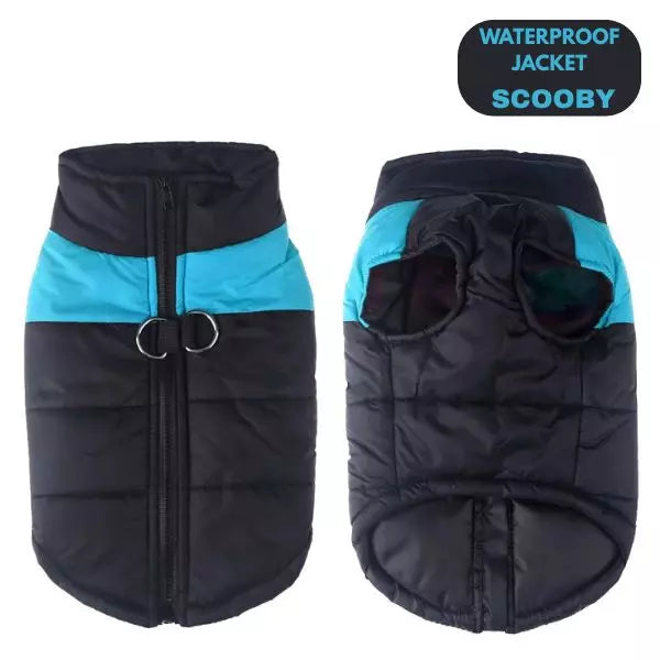 waterproof jacket dogs scooby blue 4