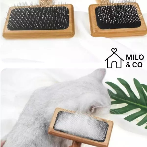 wooden comb for dogs and cats