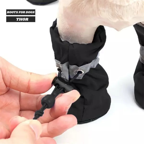 boots for dogs black