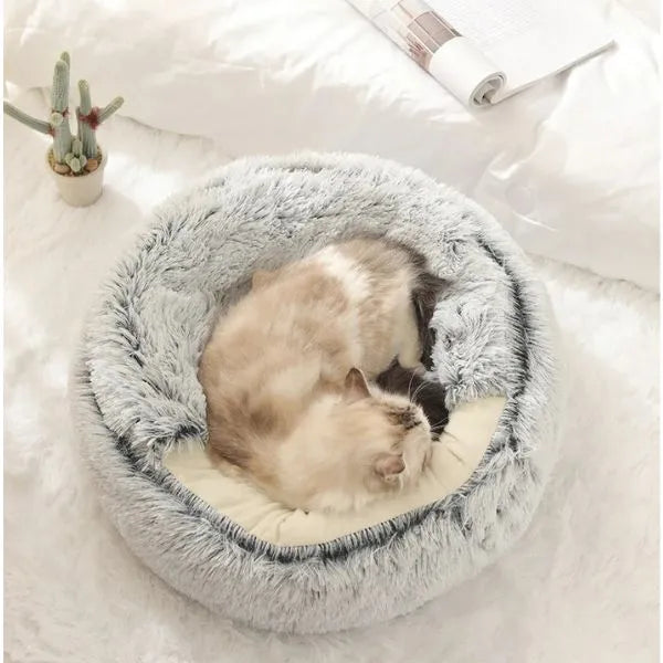 cat house dublin green
