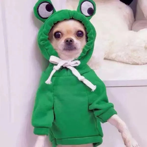 dog clothes hoodies froggy 2