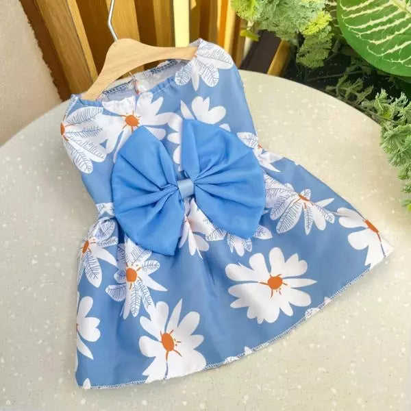dog dress blue