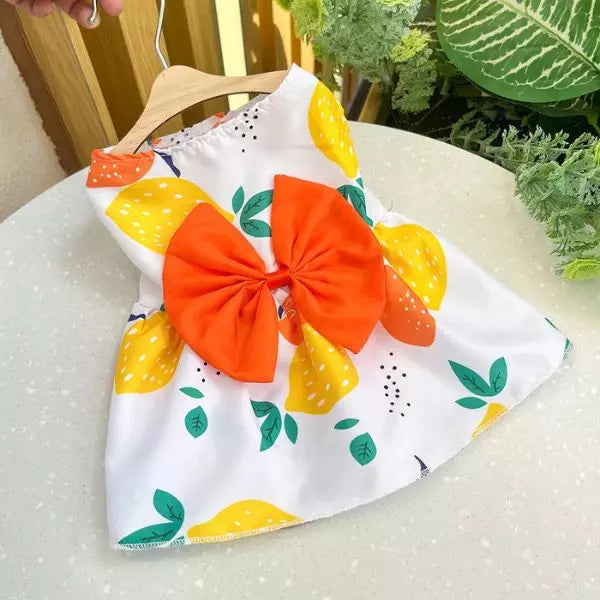 dog dress orange