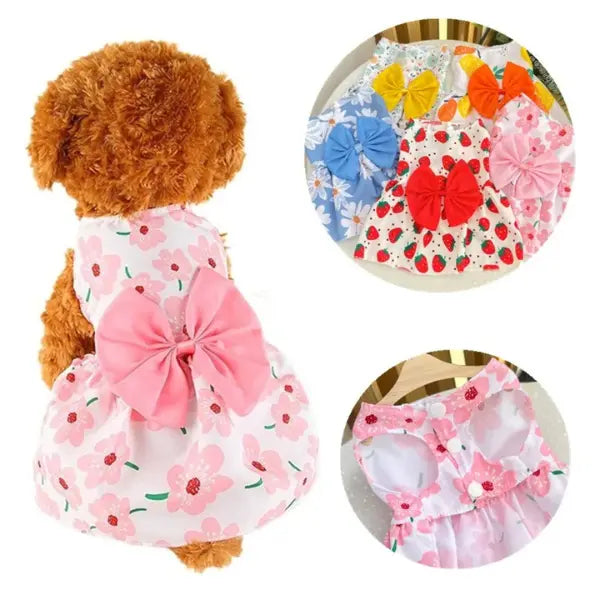 dog dress pink 1