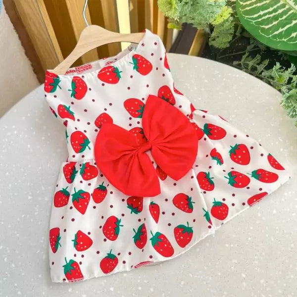 dog dress red