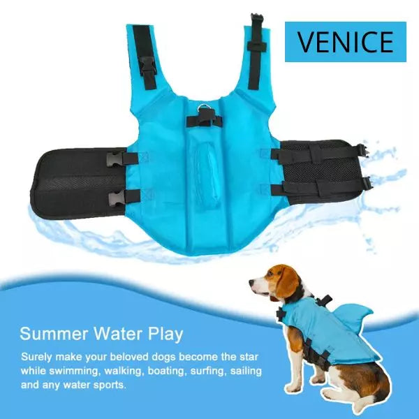 dog life jacket blue water play