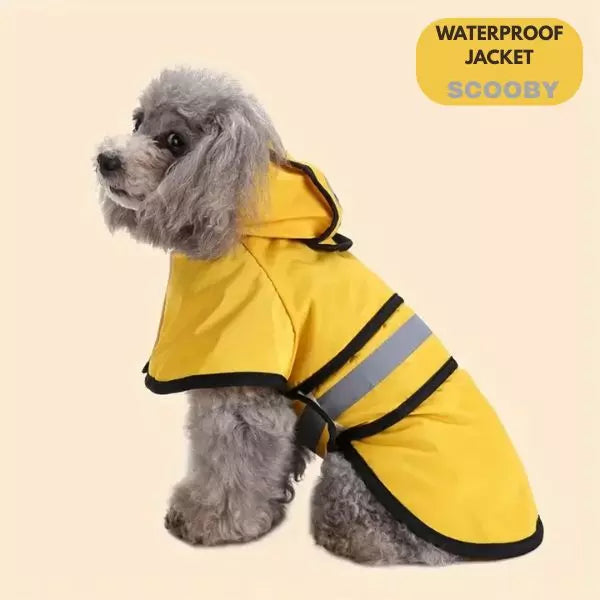 dog raincoats max yellow