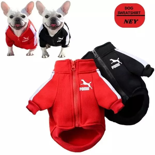 dog sweatshirt ney duo