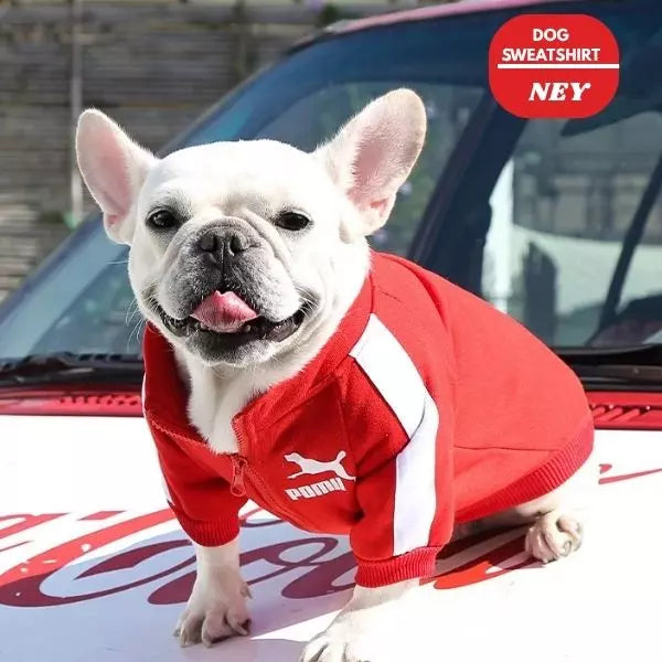 dog sweatshirt ney red