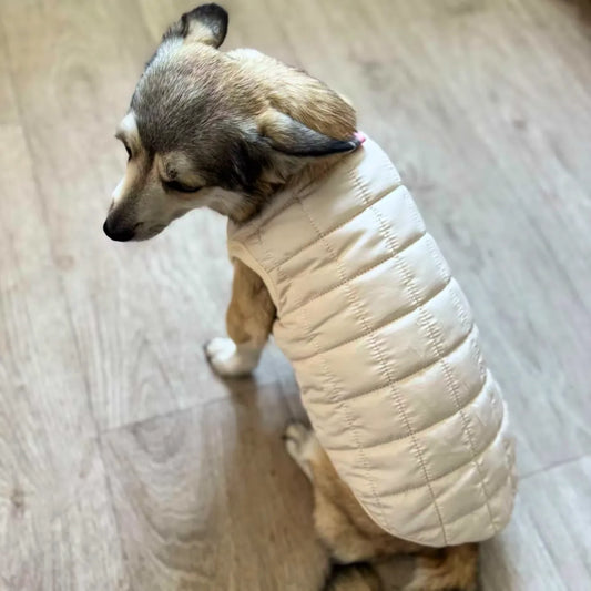 Beige -Winter-Dog Coat 2