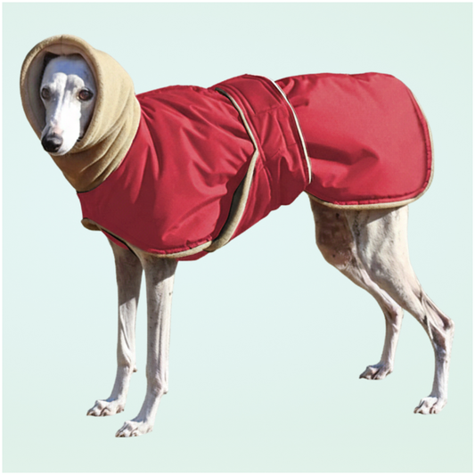 Waterproof Dog Coat for Warm and Comfortable Walks