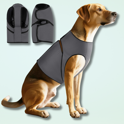 Dog Anxiety Vest for Calm and Stress Relief