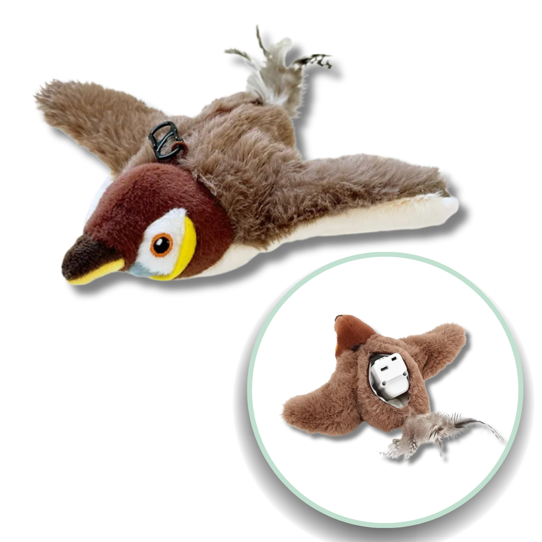 Flying Bird Cat Toy with Catnip for Exercise & Fun