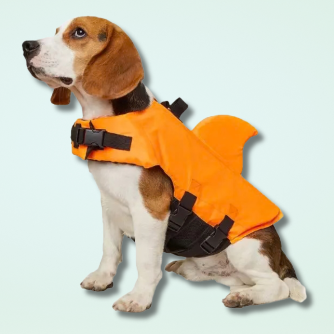 Chaleco salvavidas para perros Venice