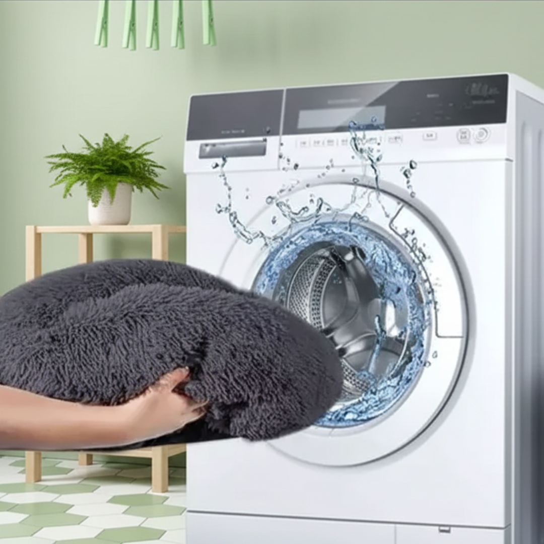 Lit pour chien Séville