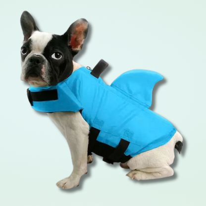Dog Life Jacket for Safe and Fun Water Adventures
