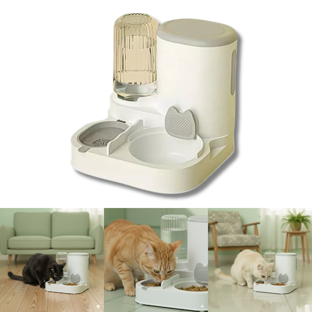 Gamelle pour chat avec distributeur automatique de nourriture Miloco