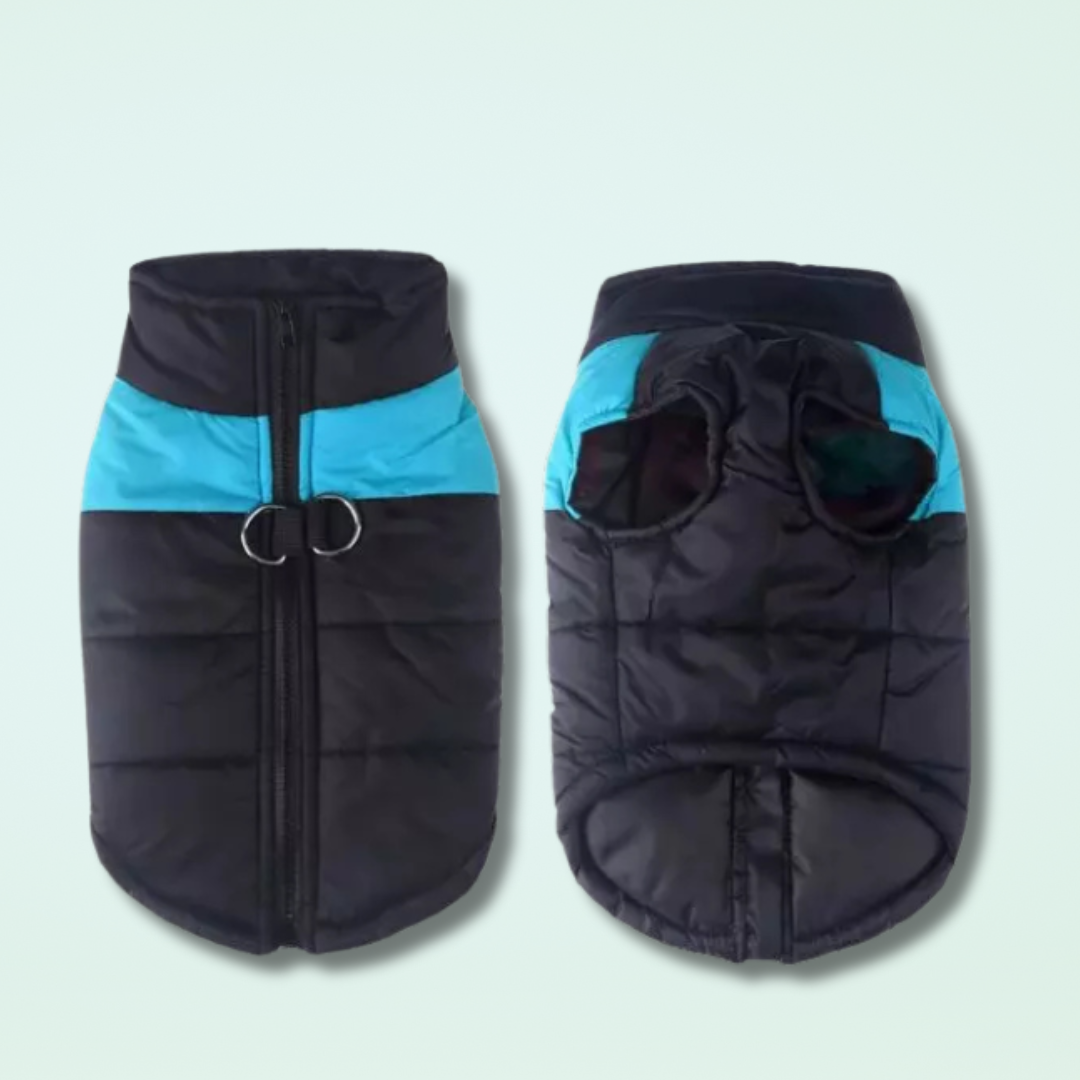 Veste imperméable pour chiens Scooby