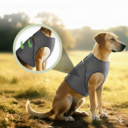 Dog Anxiety Vest for Calm and Stress Relief