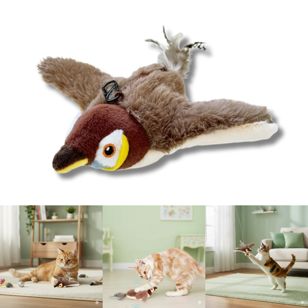 Flying Bird Cat Toy with Catnip for Exercise & Fun