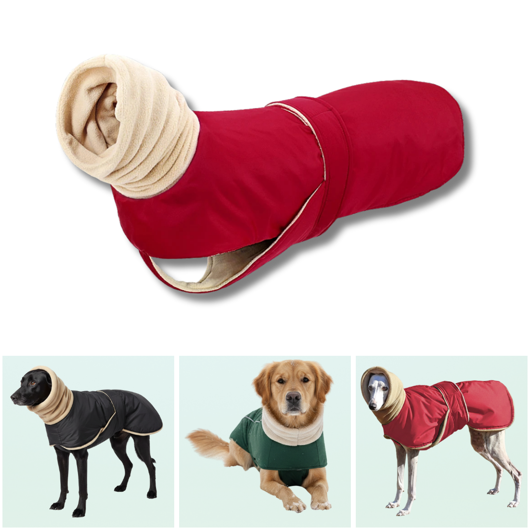 Waterproof Dog Coat for Warm and Comfortable Walks