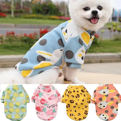 Dog Coats Venice Leoncio