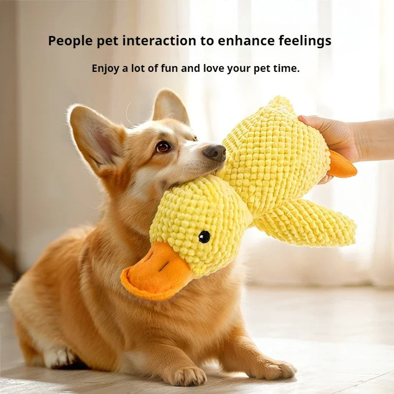 Dog Toy Plush Companion Interaction