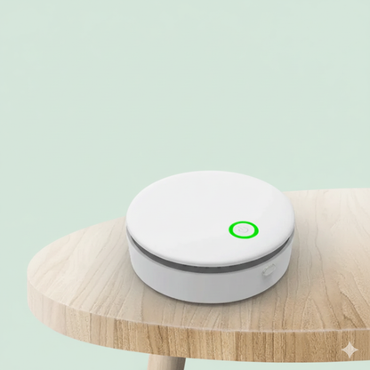 Portable Ozone Air Purifier – Eliminates Odors Anywhere