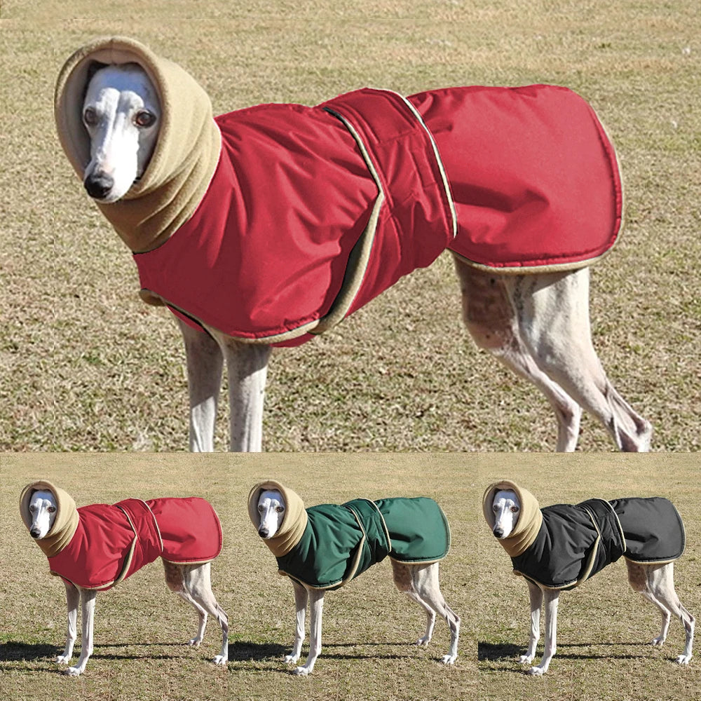 WinterShield™ Waterproof Dog Coat – Warm & Stylish Walks