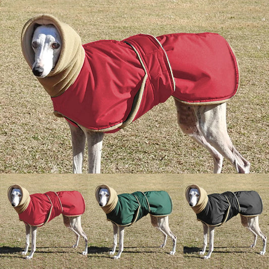 WinterShield™ Waterproof Dog Coat – Warm & Stylish Walks