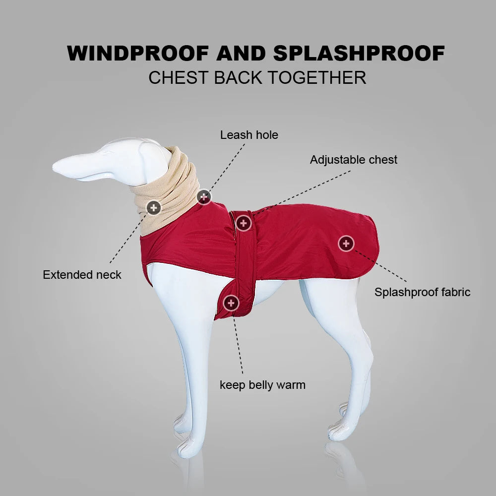 WinterShield™ Waterproof Dog Coat – Warm & Stylish Walks