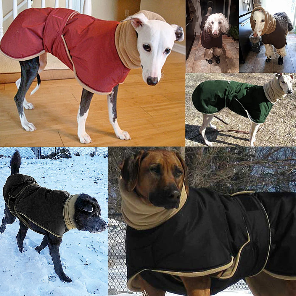 WinterShield™ Waterproof Dog Coat – Warm & Stylish Walks