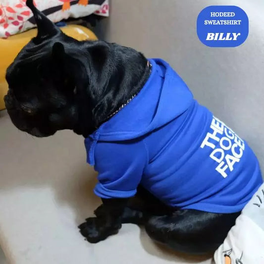 hodded sweatshirt blue