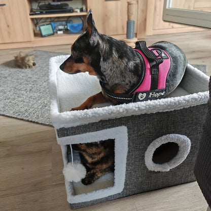 Cat House Leonardo