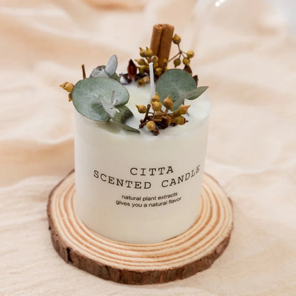 Pet Friendly Candly Citra Miloco