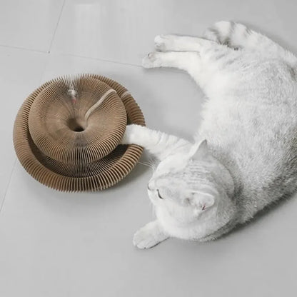 Cat Accordion Scratching Board with Toy Ball