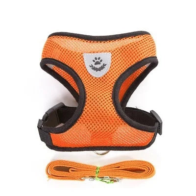 eitoral Premium para Cachorros com Guia | Respirável e Refletivo